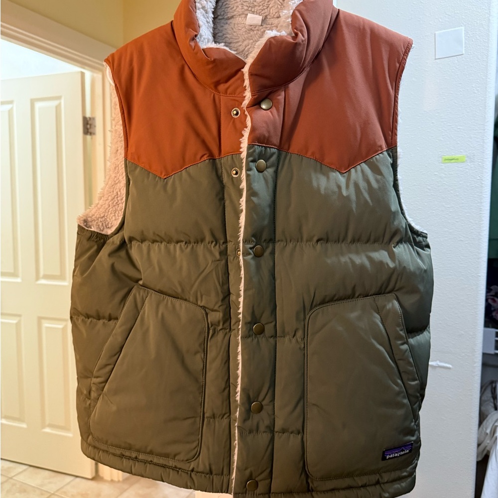Patagonia Men's Reversible Bivy Down Vest